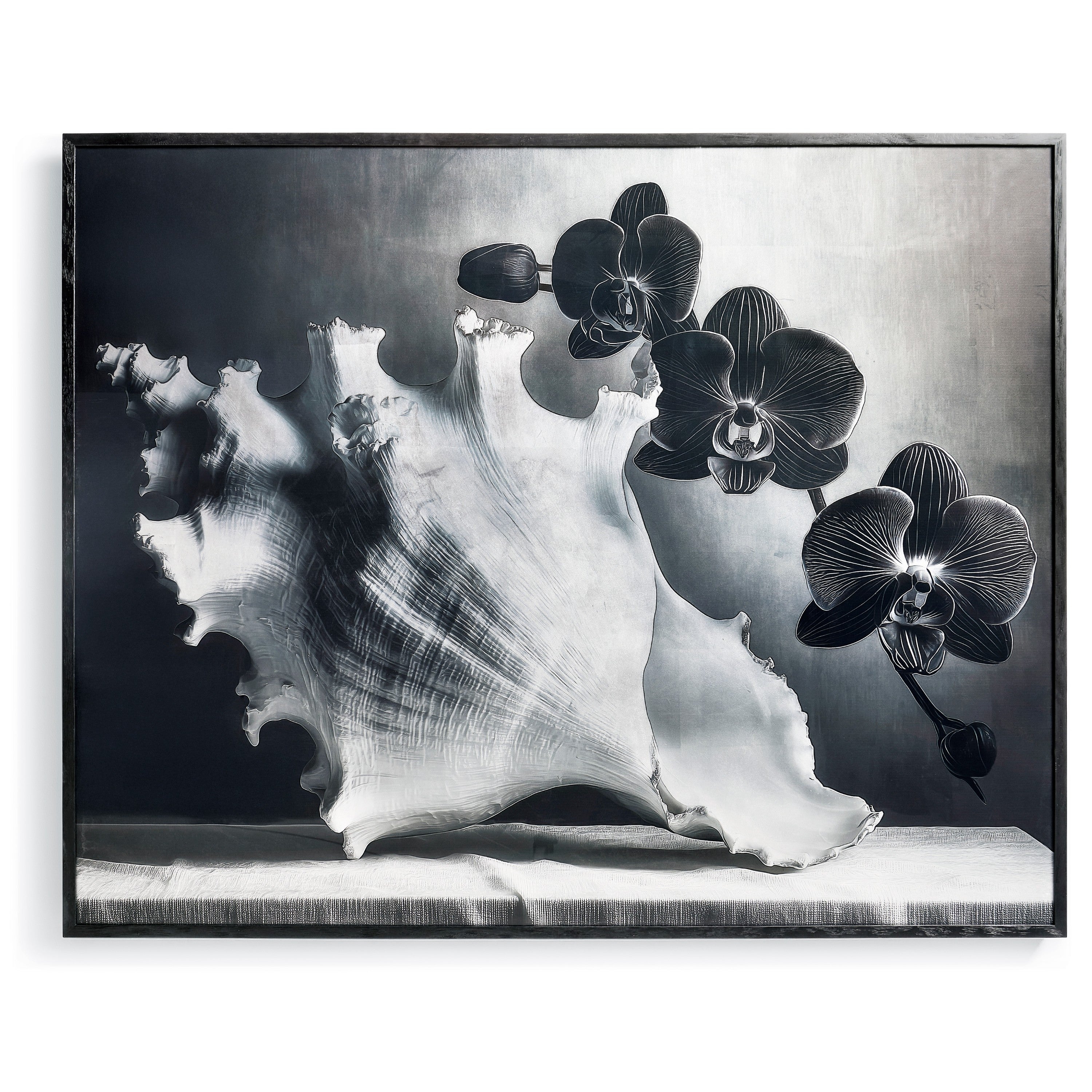 Jonathan Charles Silver Conch Artwork