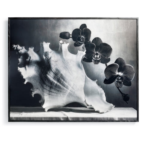 Jonathan Charles Silver Conch Artwork