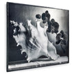 Jonathan Charles Silver Conch Artwork