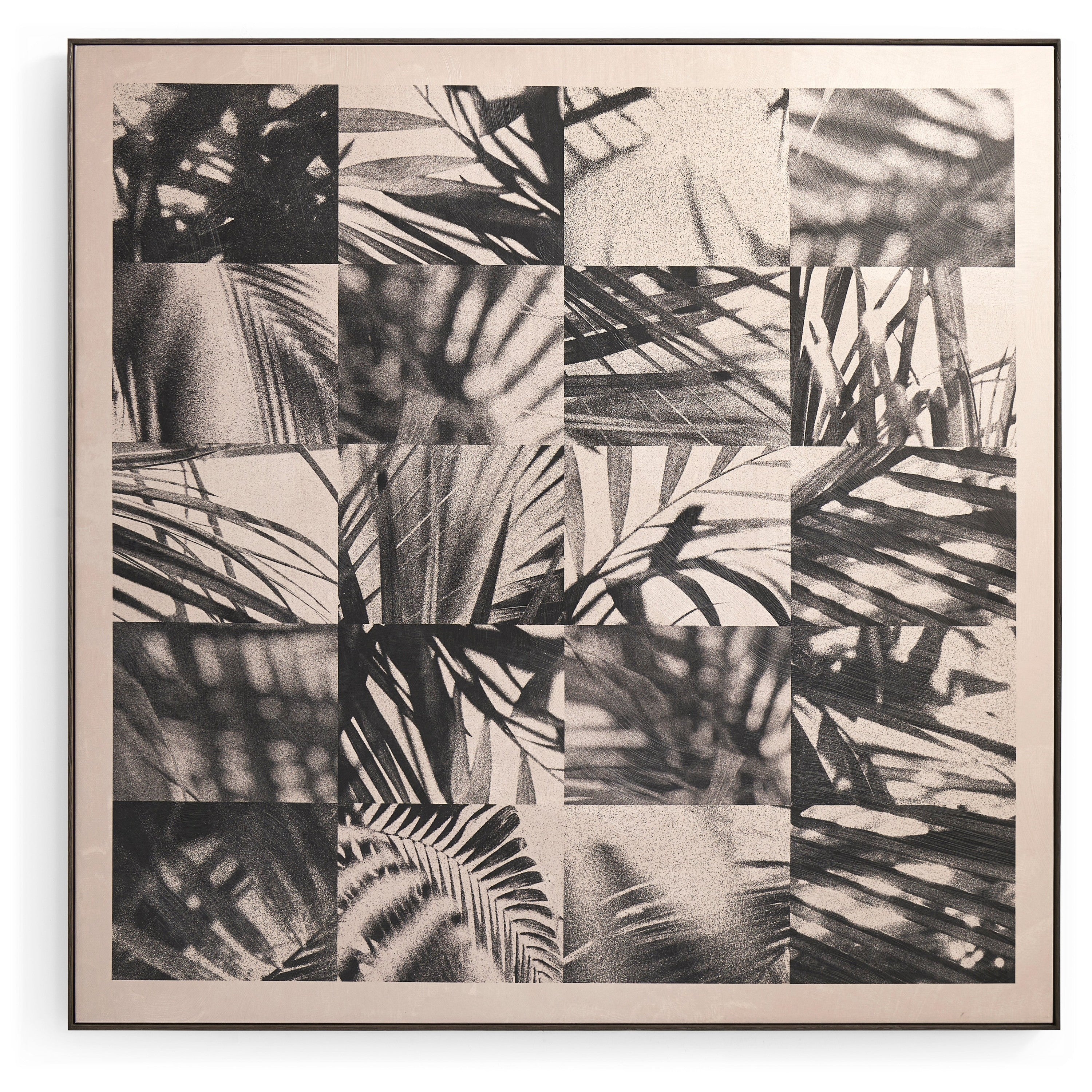 Jonathan Charles Palm Shadow Artwork