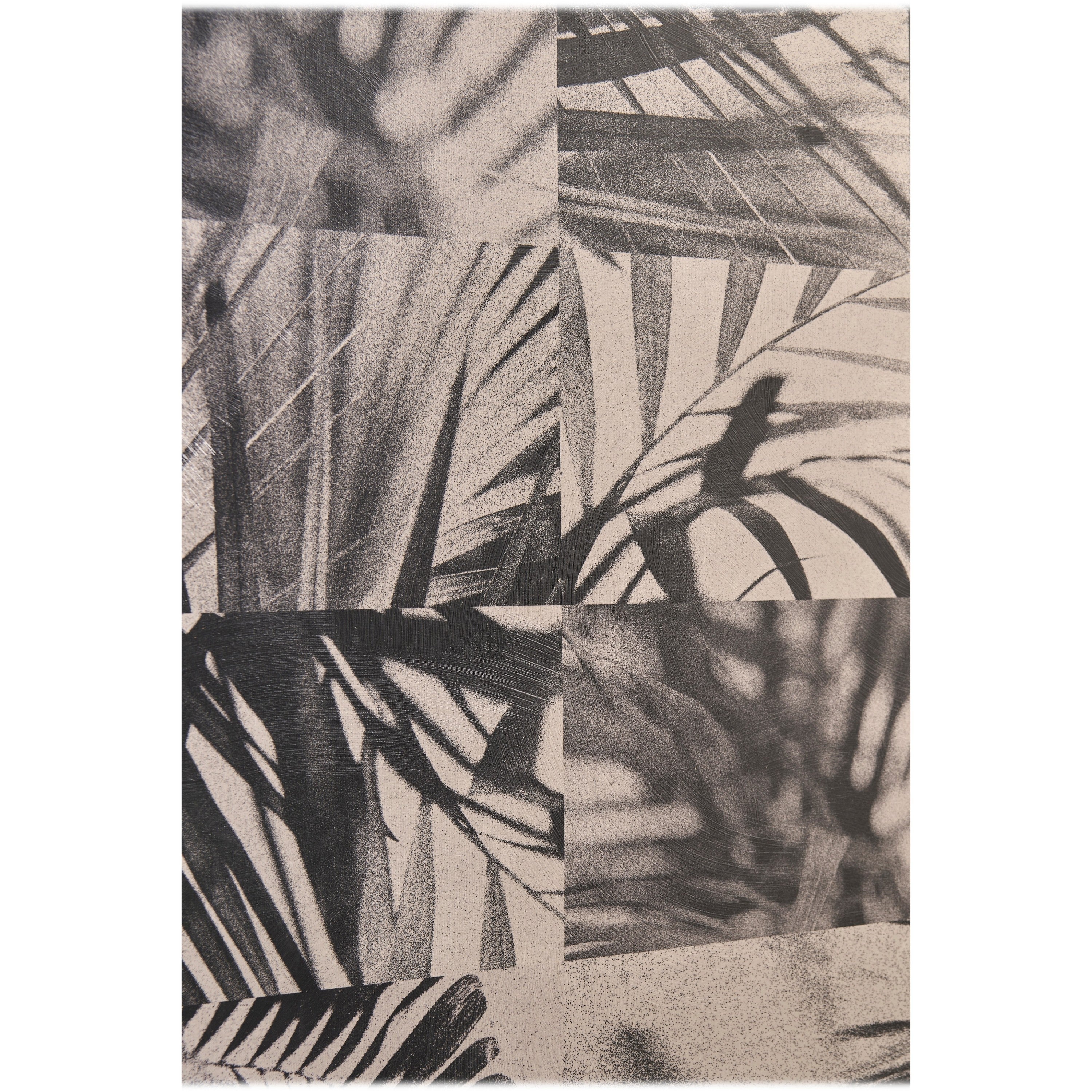 Jonathan Charles Palm Shadow Artwork