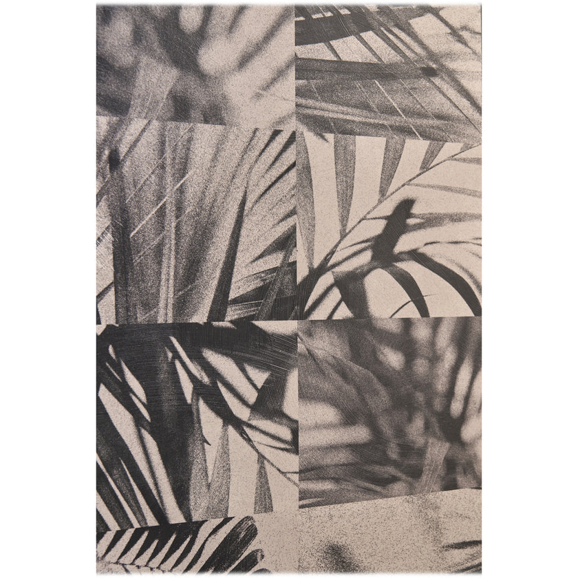 Jonathan Charles Palm Shadow Artwork