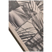 Jonathan Charles Palm Shadow Artwork