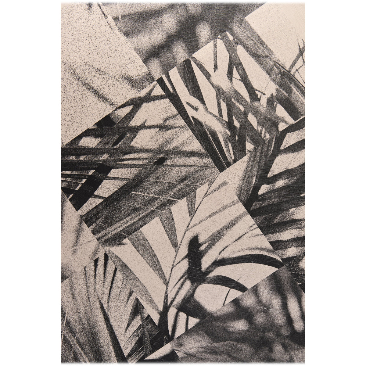 Jonathan Charles Palm Shadow Artwork