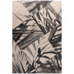 Jonathan Charles Palm Shadow Artwork