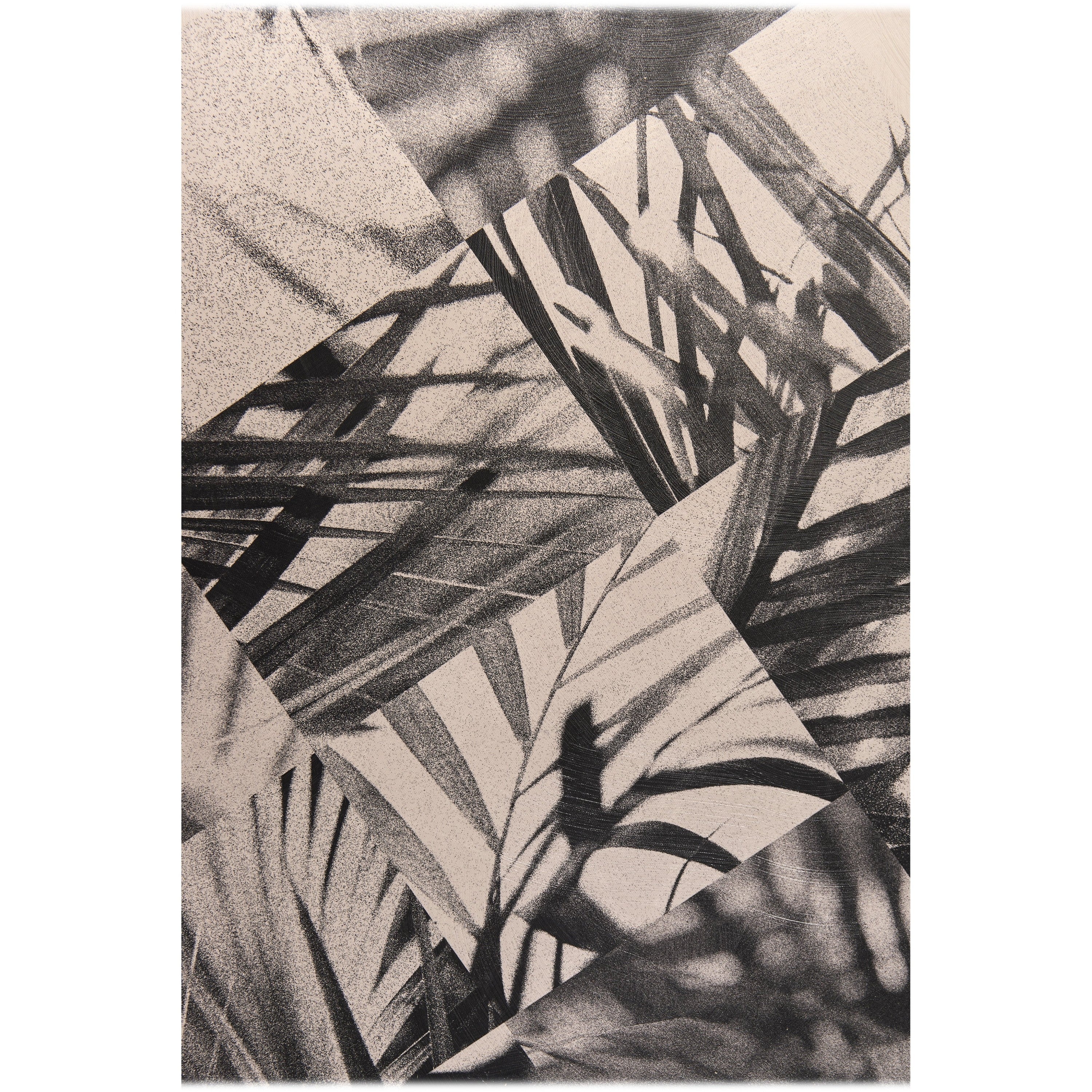 Jonathan Charles Palm Shadow Artwork