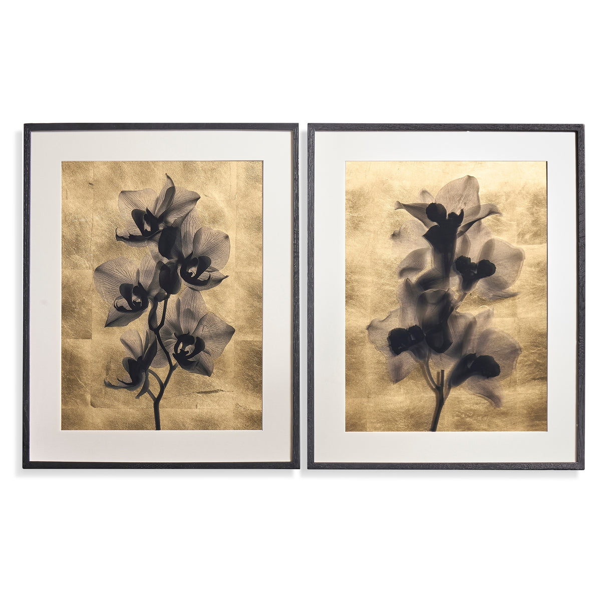 Jonathan Charles Black Orchids Artwork