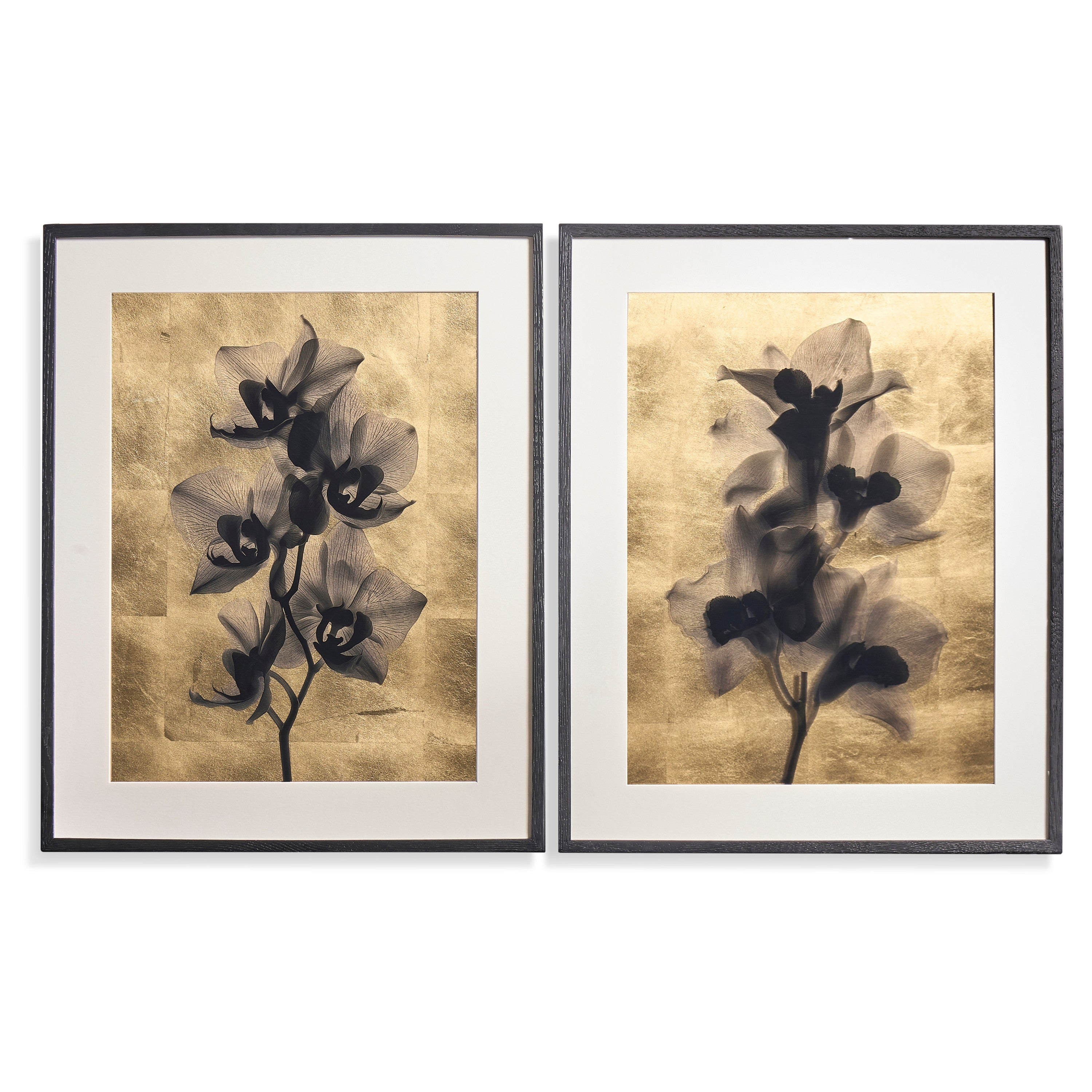 Jonathan Charles Black Orchids Artwork