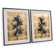 Jonathan Charles Black Orchids Artwork