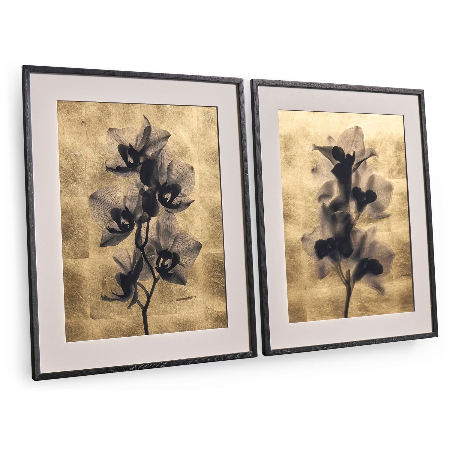 Jonathan Charles Black Orchids Artwork