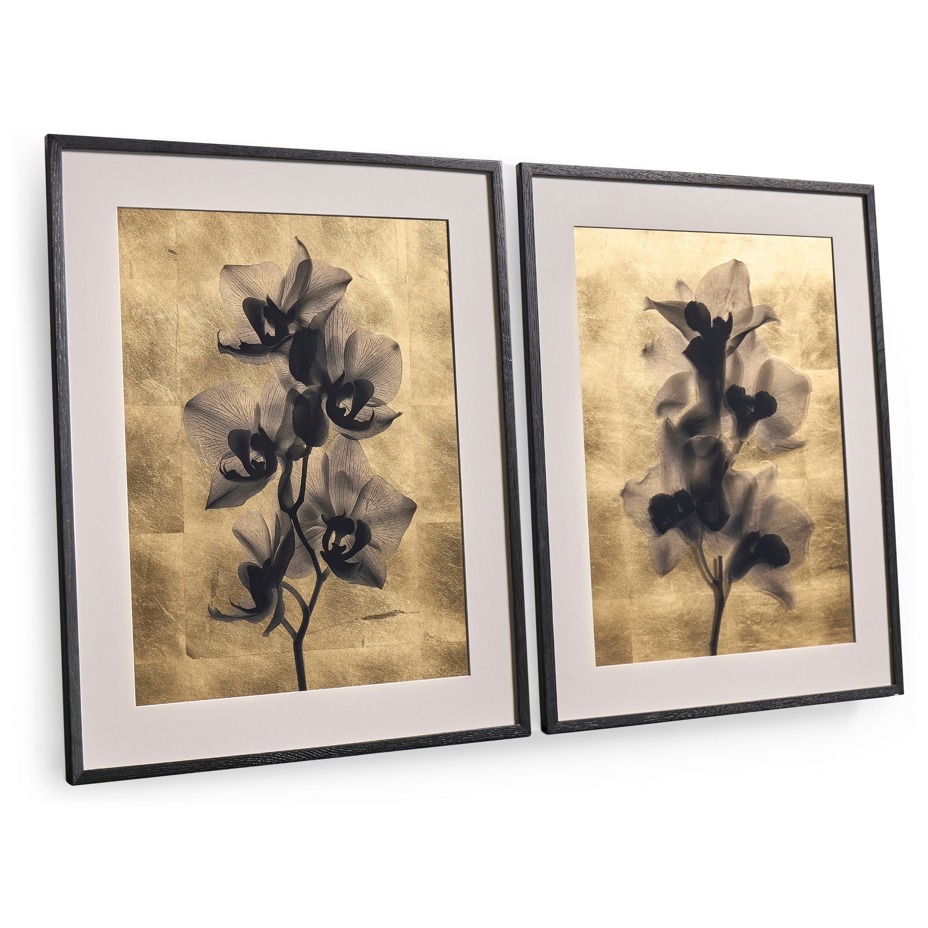 Jonathan Charles Black Orchids Artwork
