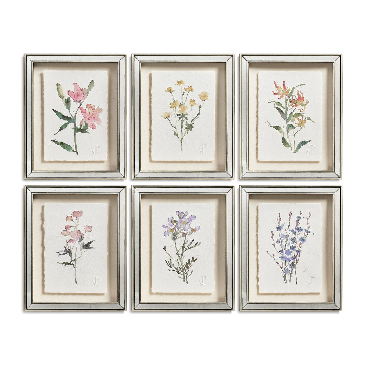 Jonathan Charles Petals and Process - Set of 6
