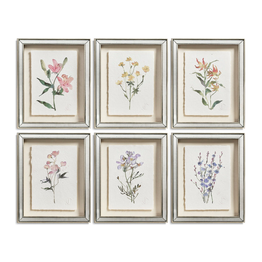 Jonathan Charles Petals and Process - Set of 6