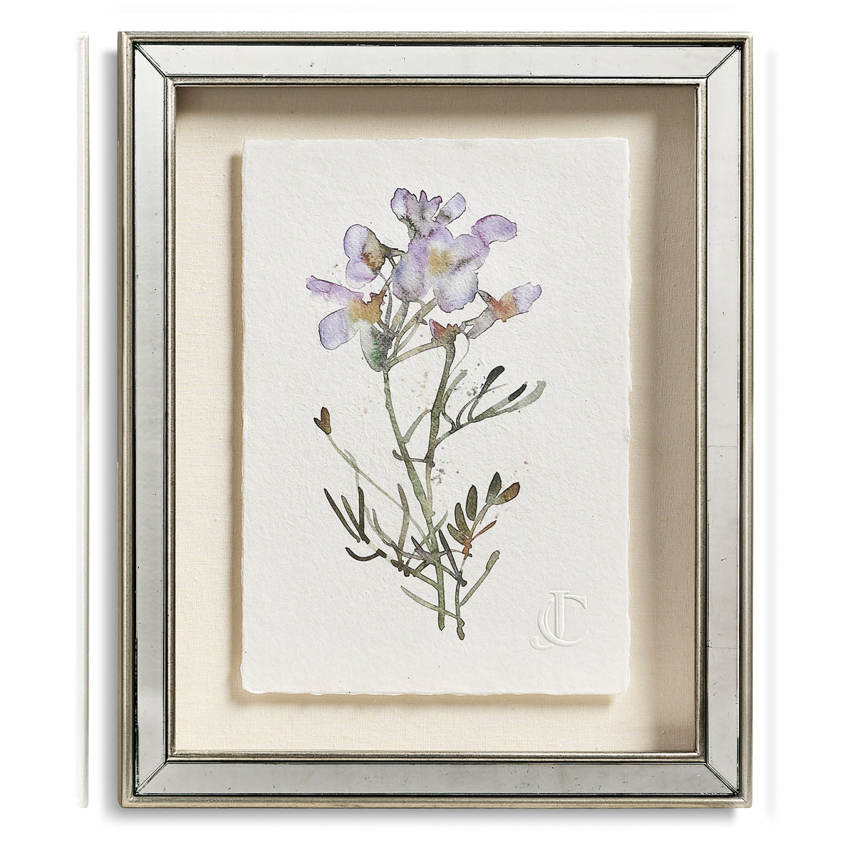 Jonathan Charles Petals and Process - Set of 6