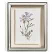 Jonathan Charles Petals and Process - Set of 6