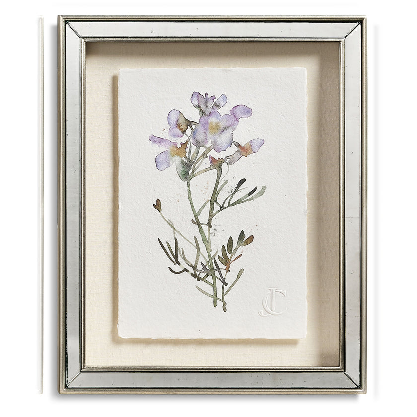 Jonathan Charles Petals and Process - Set of 6