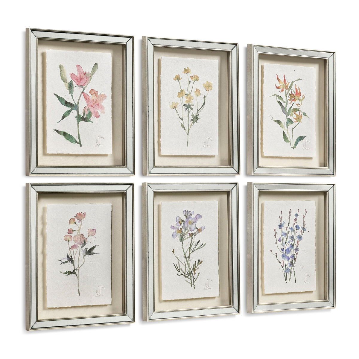 Jonathan Charles Petals and Process - Set of 6