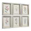 Jonathan Charles Petals and Process - Set of 6