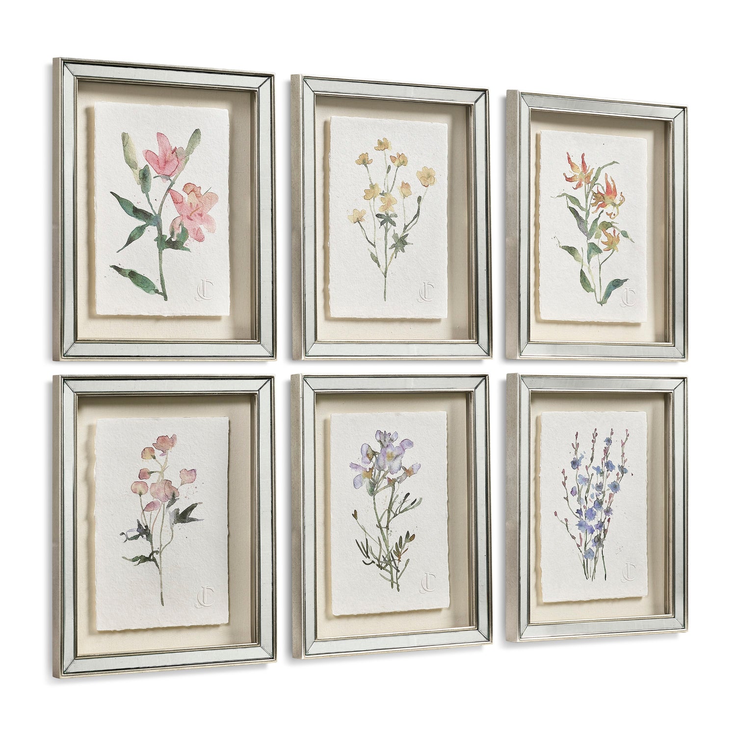 Jonathan Charles Petals and Process - Set of 6