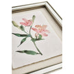 Jonathan Charles Petals and Process - Set of 6