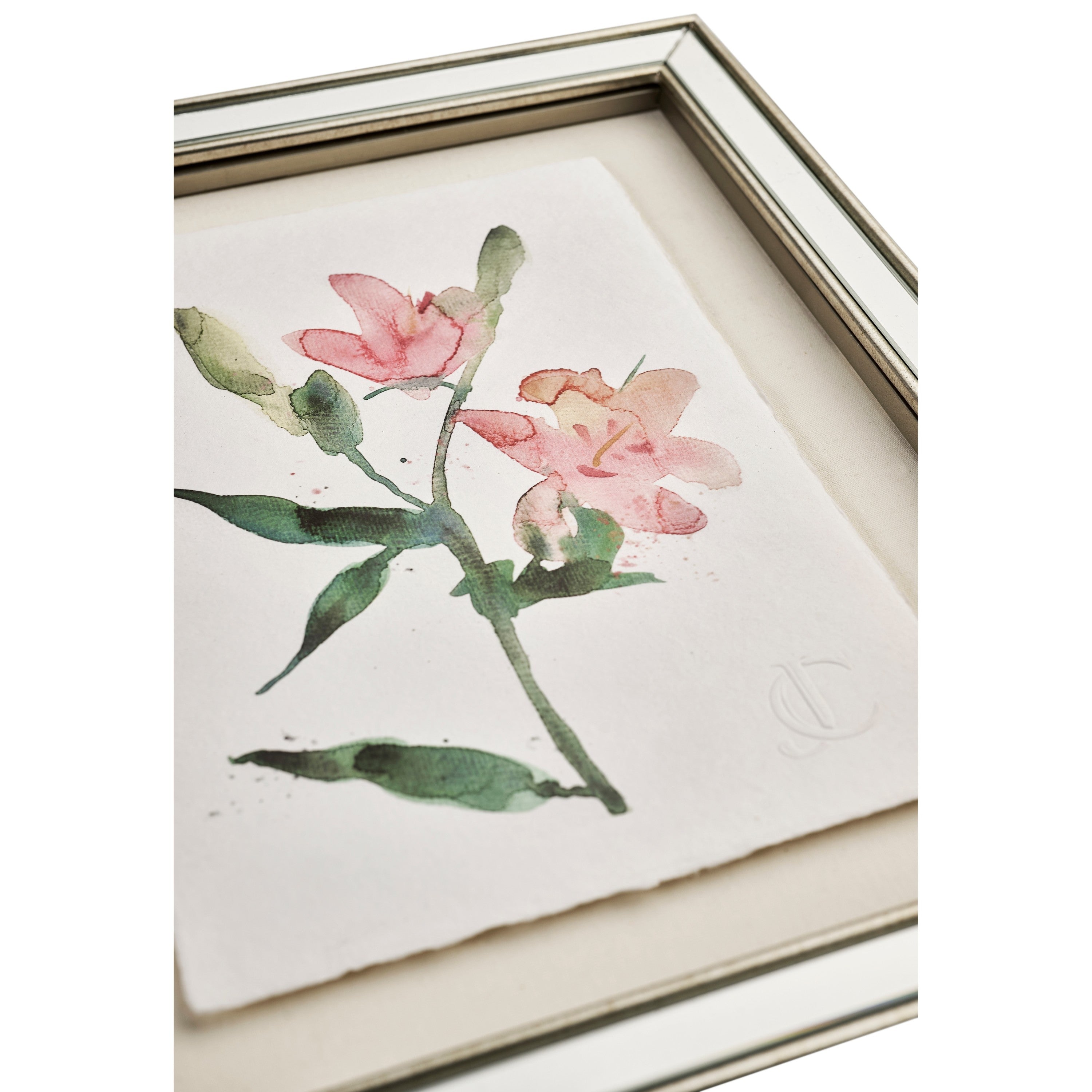 Jonathan Charles Petals and Process - Set of 6