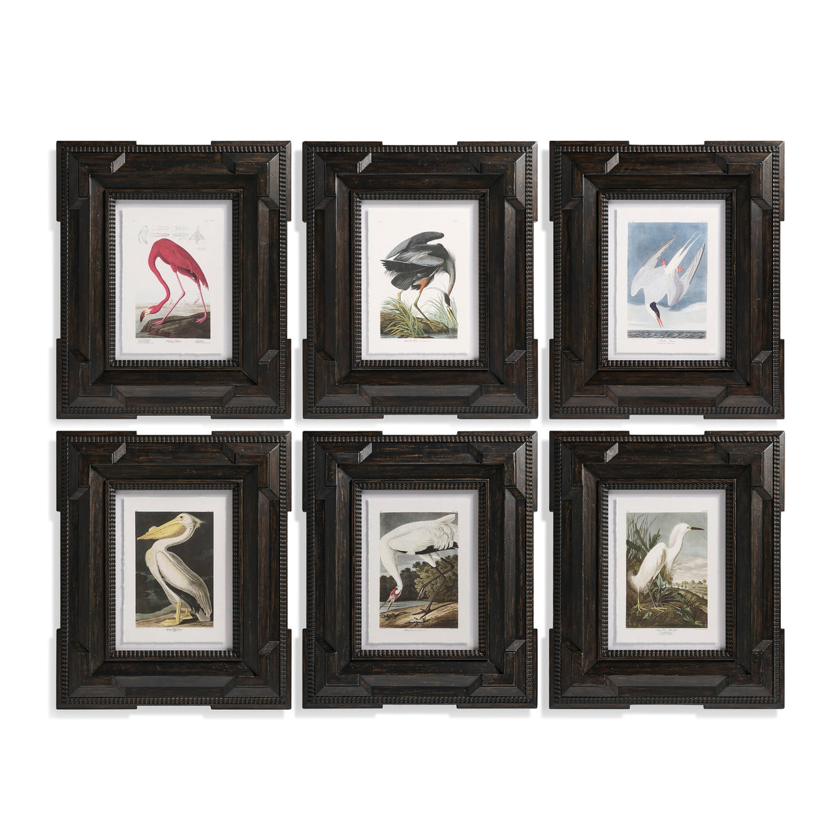Jonathan Charles Audubon Birds - Set of 6