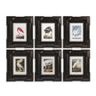 Jonathan Charles Audubon Birds - Set of 6