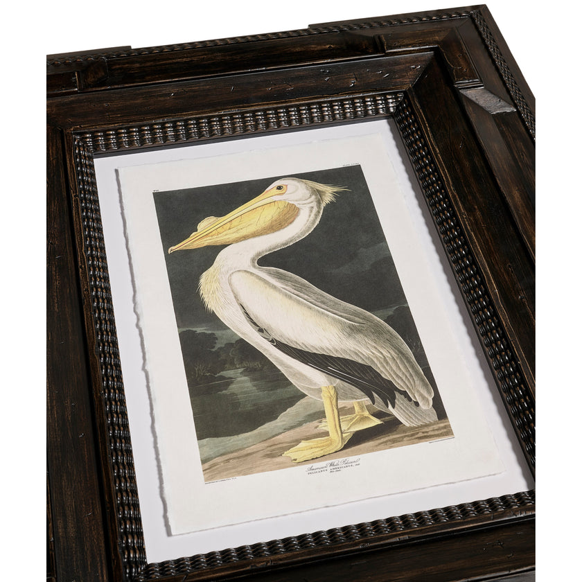 Jonathan Charles Audubon Birds - Set of 6