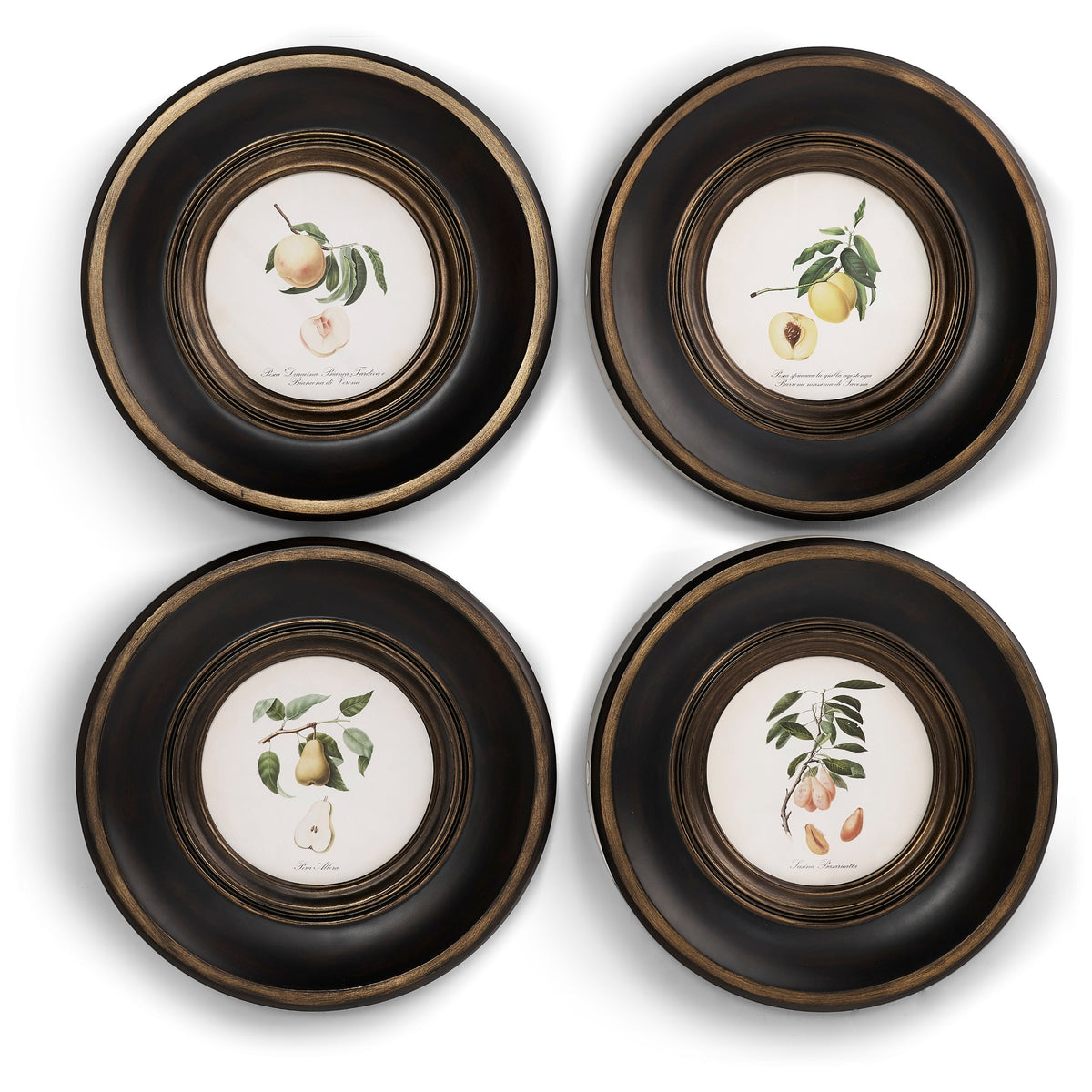 Jonathan Charles Vintage Fruit No. 1 - Set of 4