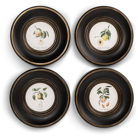 Jonathan Charles Vintage Fruit No. 1 - Set of 4