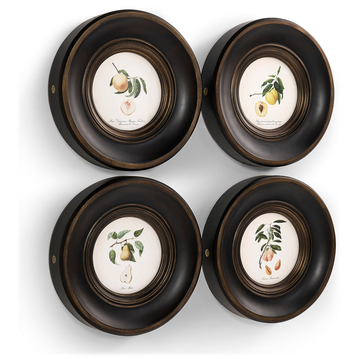 Jonathan Charles Vintage Fruit No. 1 - Set of 4