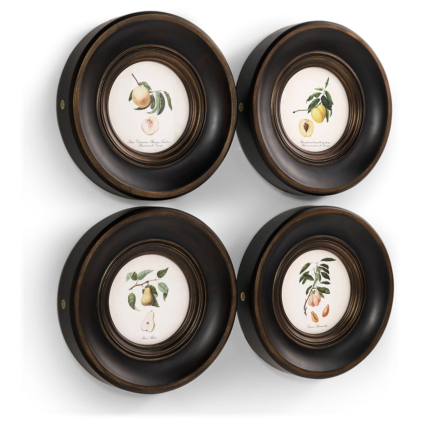 Jonathan Charles Vintage Fruit No. 1 - Set of 4