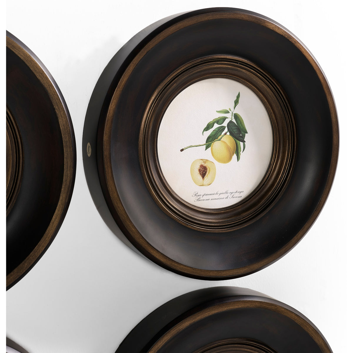 Jonathan Charles Vintage Fruit No. 1 - Set of 4