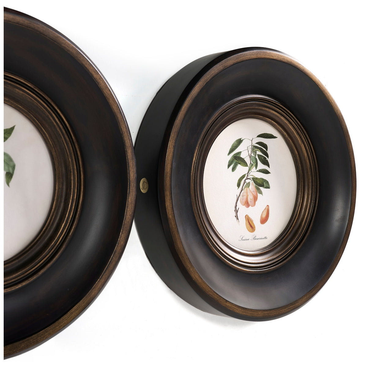 Jonathan Charles Vintage Fruit No. 1 - Set of 4