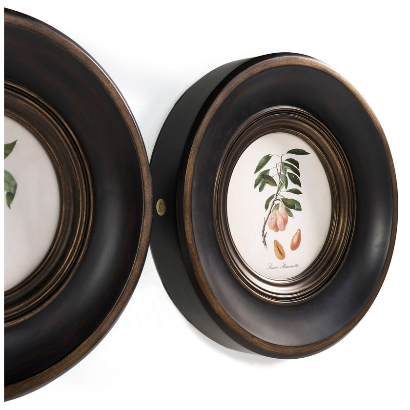 Jonathan Charles Vintage Fruit No. 1 - Set of 4