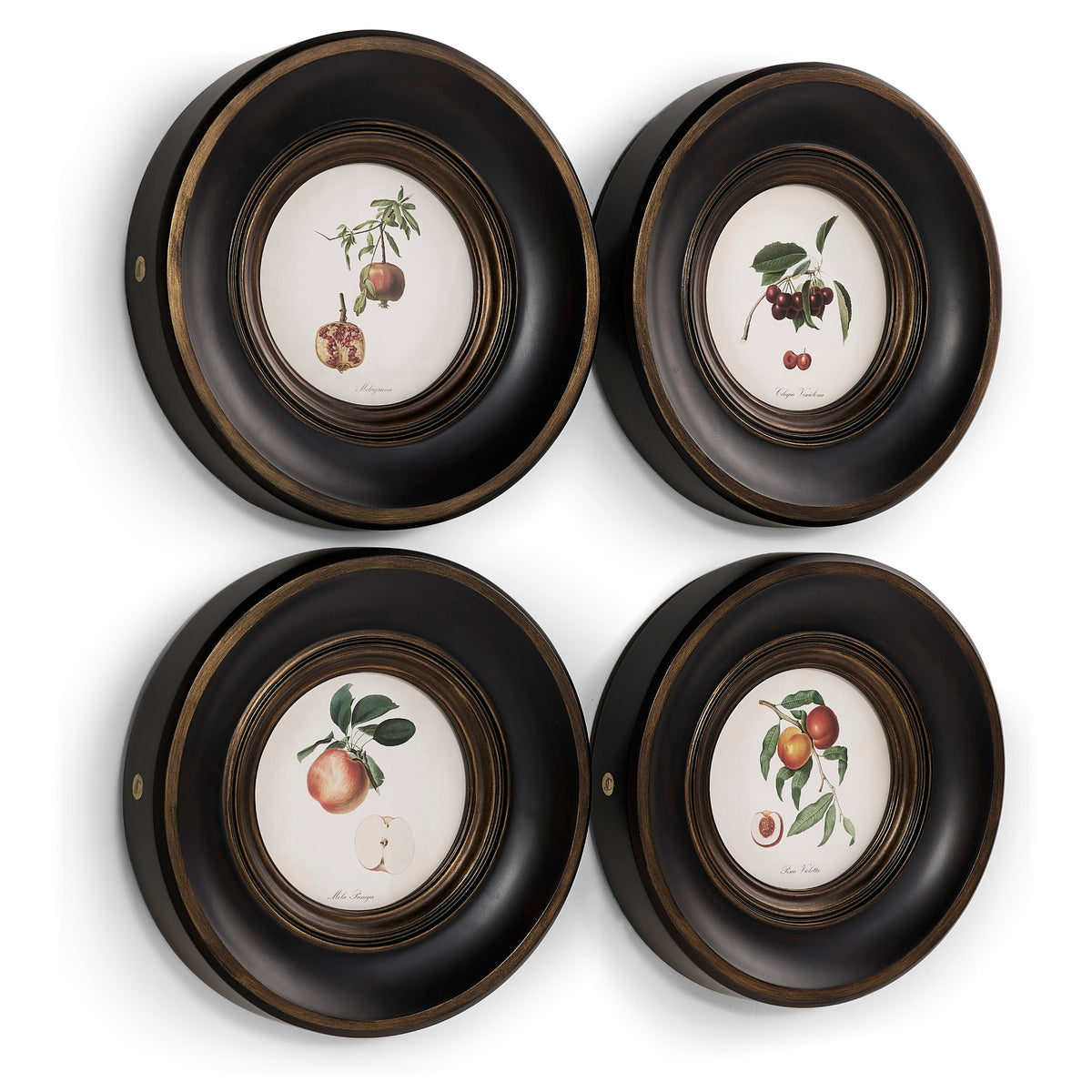 Jonathan Charles Vintage Fruit No. 2 - Set of 4