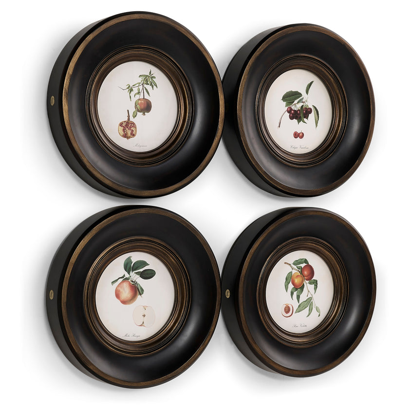 Jonathan Charles Vintage Fruit No. 2 - Set of 4