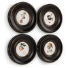 Jonathan Charles Vintage Fruit No. 2 - Set of 4