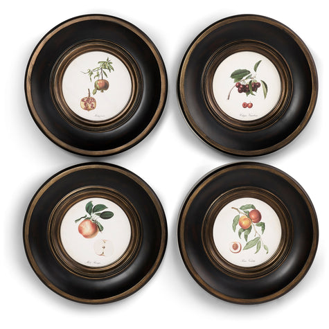 Jonathan Charles Vintage Fruit No. 2 - Set of 4