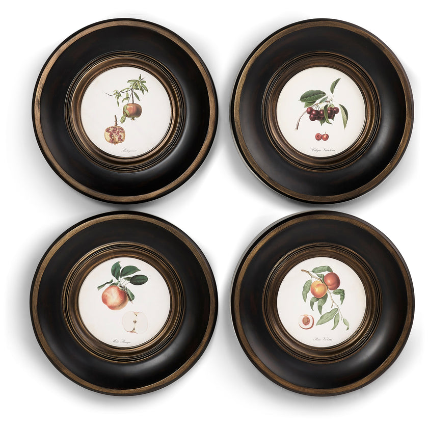 Jonathan Charles Vintage Fruit No. 2 - Set of 4