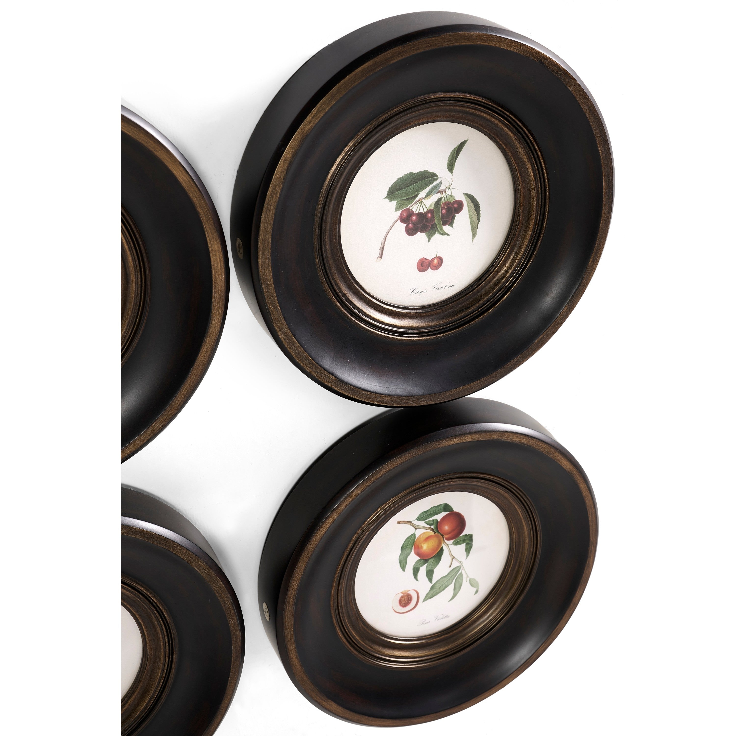Jonathan Charles Vintage Fruit No. 2 - Set of 4