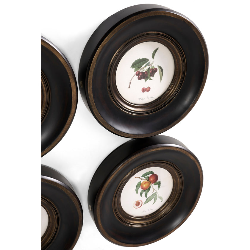 Jonathan Charles Vintage Fruit No. 2 - Set of 4