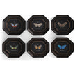 Jonathan Charles Wings of Discovery - Set of 6