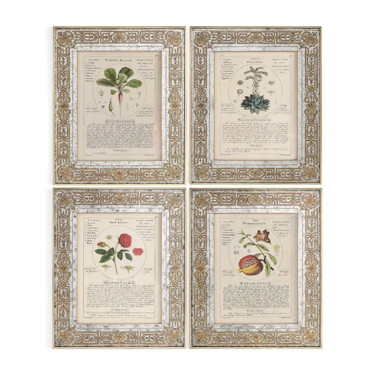 Jonathan Charles Herbal of Enlightenment - Set of 4