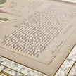 Jonathan Charles Herbal of Enlightenment - Set of 4