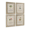 Jonathan Charles Herbal of Enlightenment - Set of 4