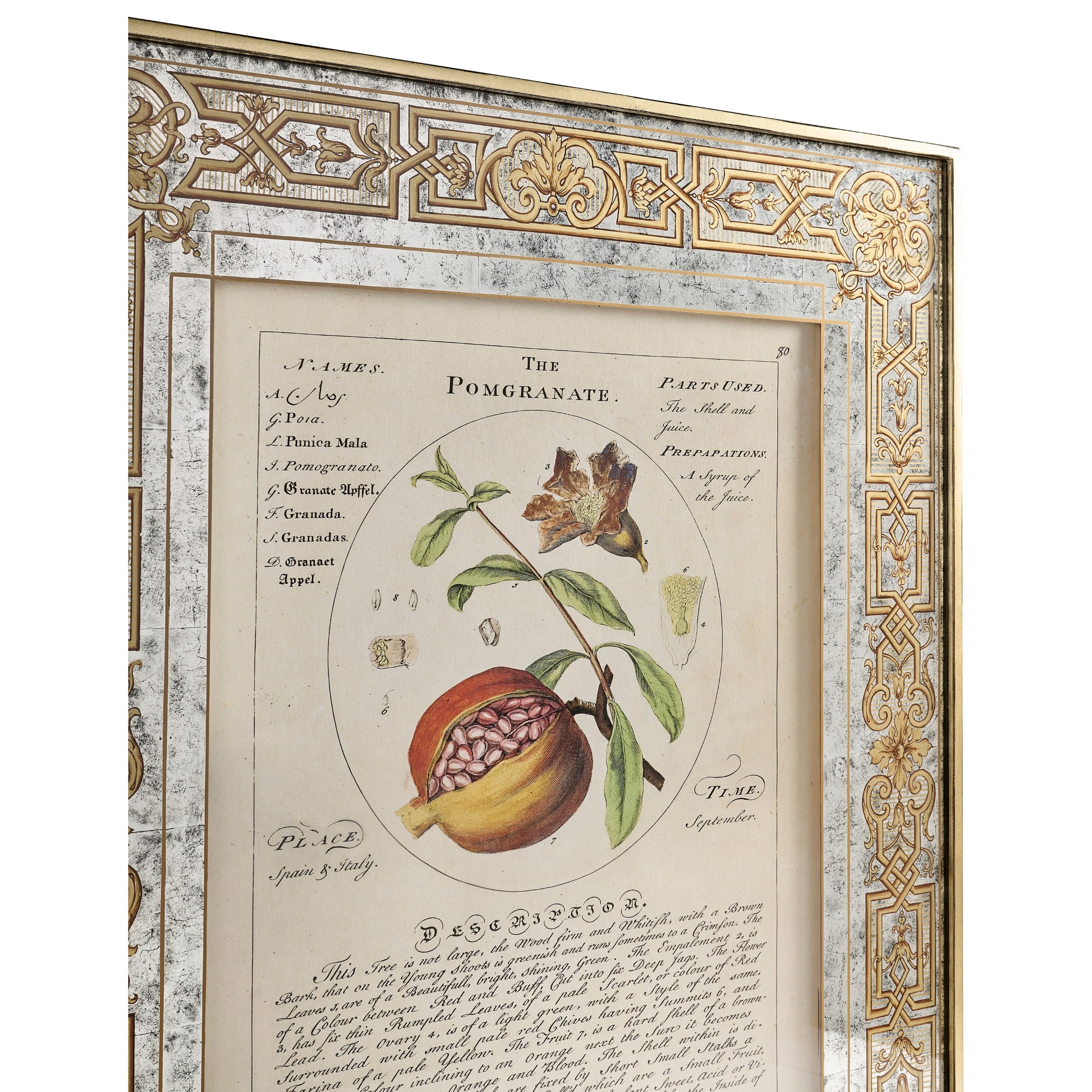 Jonathan Charles Herbal of Enlightenment - Set of 4