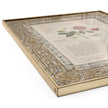 Jonathan Charles Herbal of Enlightenment - Set of 4