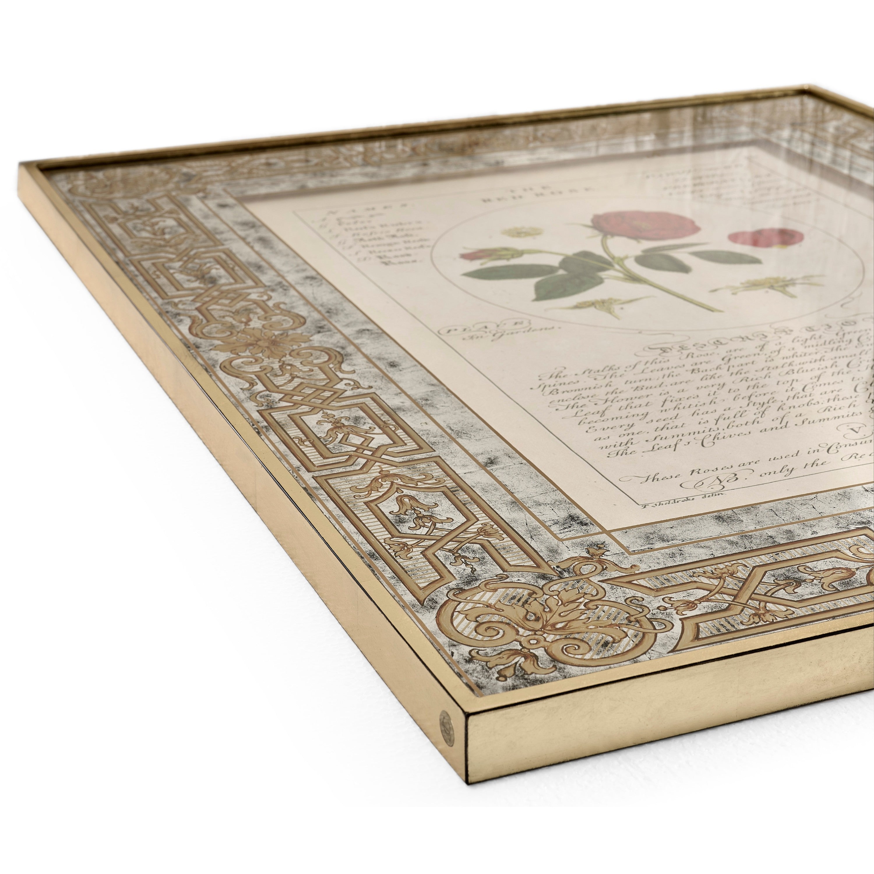 Jonathan Charles Herbal of Enlightenment - Set of 4