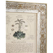 Jonathan Charles Herbal of Enlightenment - Set of 4